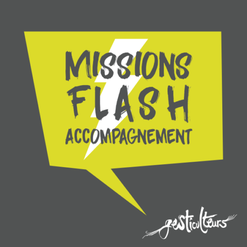 Missions Flash Accompagnement