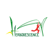 Herborescence